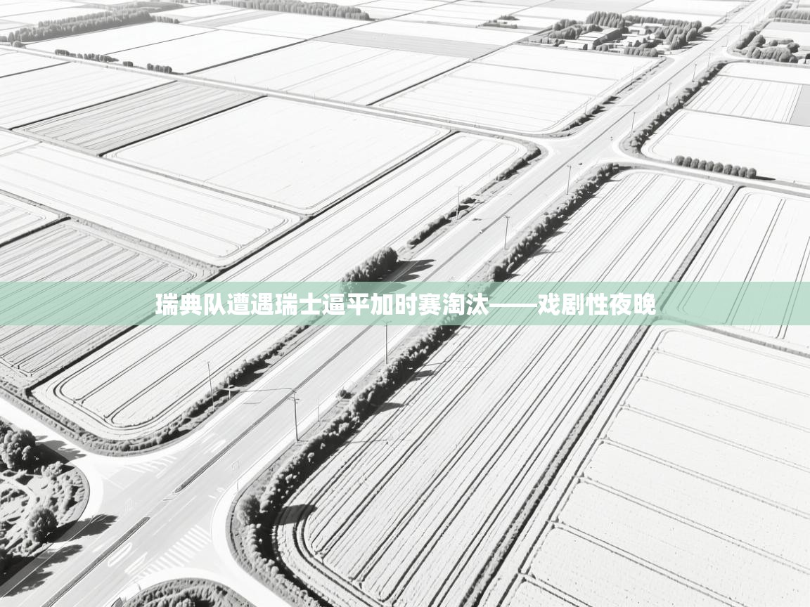 瑞典队遭遇瑞士逼平加时赛淘汰——戏剧性夜晚  第2张